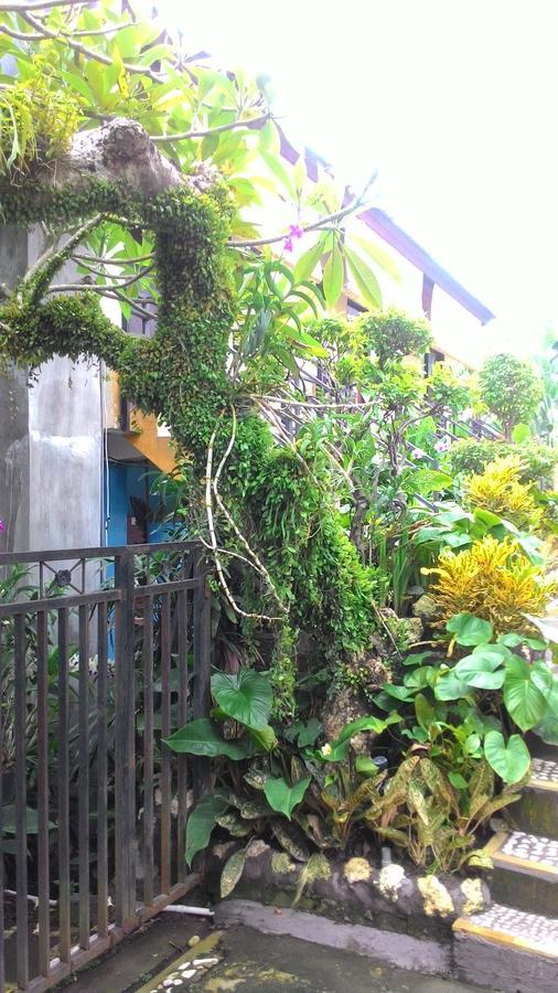 Betesda Guest House Canggu  Exterior photo